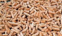 Holzpellets für NRW